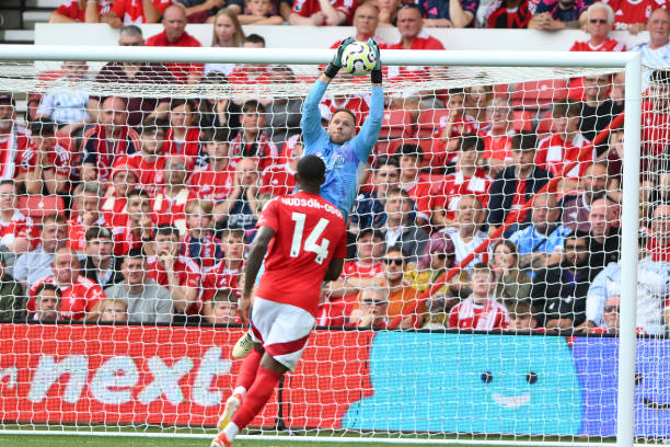 大利在FI 大利在FI